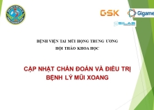 BỆNH VIỆN TAI MŨI HỌNG TRUNG ƯƠNG TỔ CHỨC HỘI THẢO KHOA HỌC CẬP NHẬT CHẨN ĐOÁN VÀ ĐIỀU TRỊ BỆNH LÝ MŨI XOANG