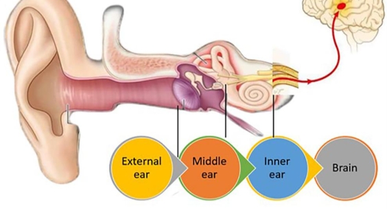 NGHE KÉM Ở TRẺ EM: NHẬN THỨC SỚM – CAN THIỆP KỊP THỜI